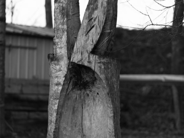 Skulptur "Keltisches"